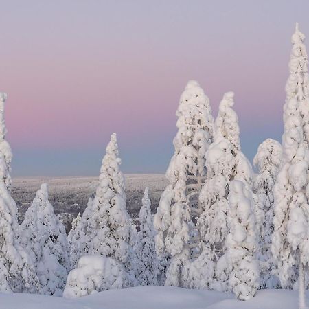 Northern Bliss Hideaway Rovaniemi Esterno foto