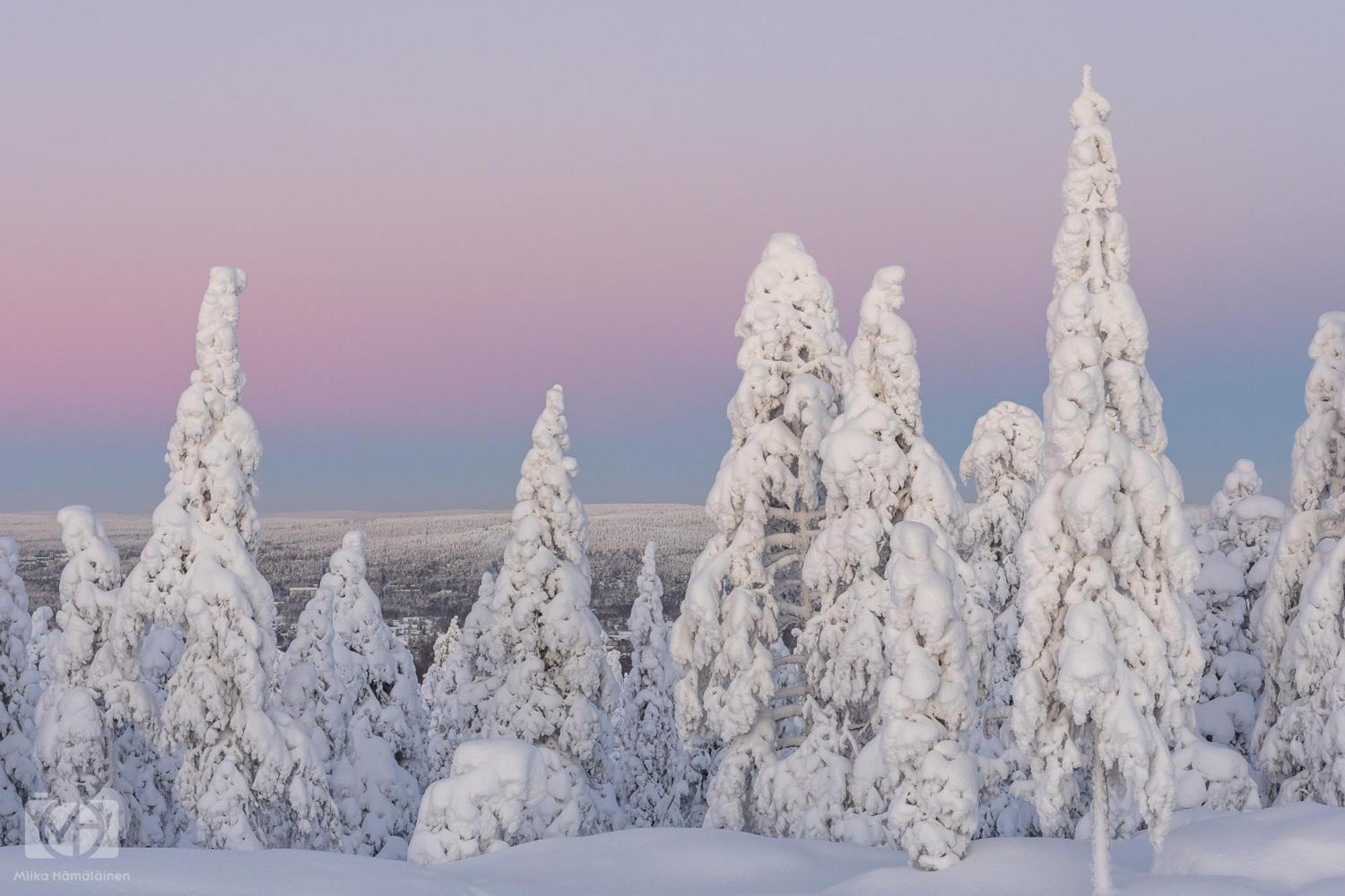 Northern Bliss Hideaway Rovaniemi Esterno foto